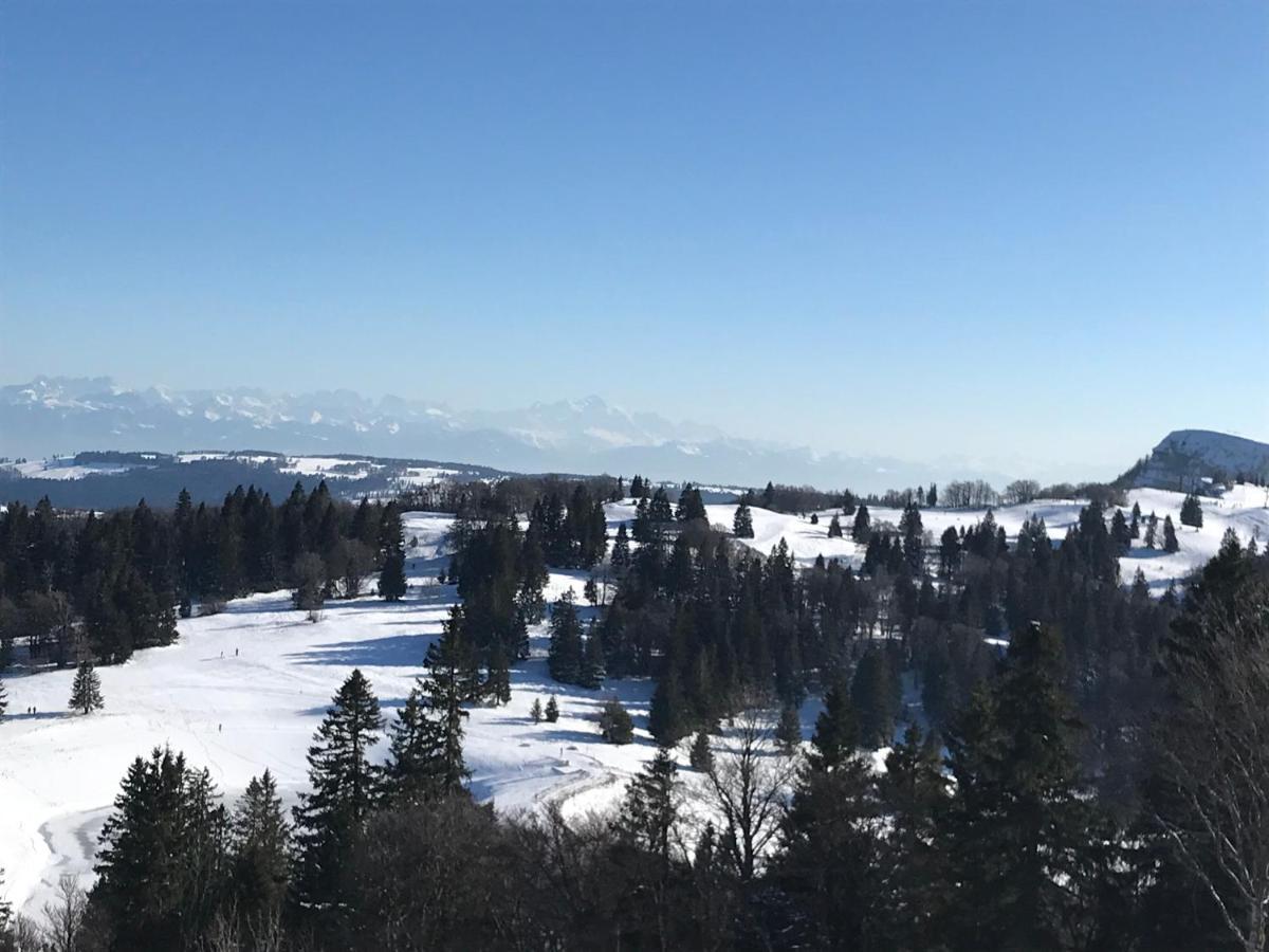 Chalet De La Baume La Chatelaine المظهر الخارجي الصورة